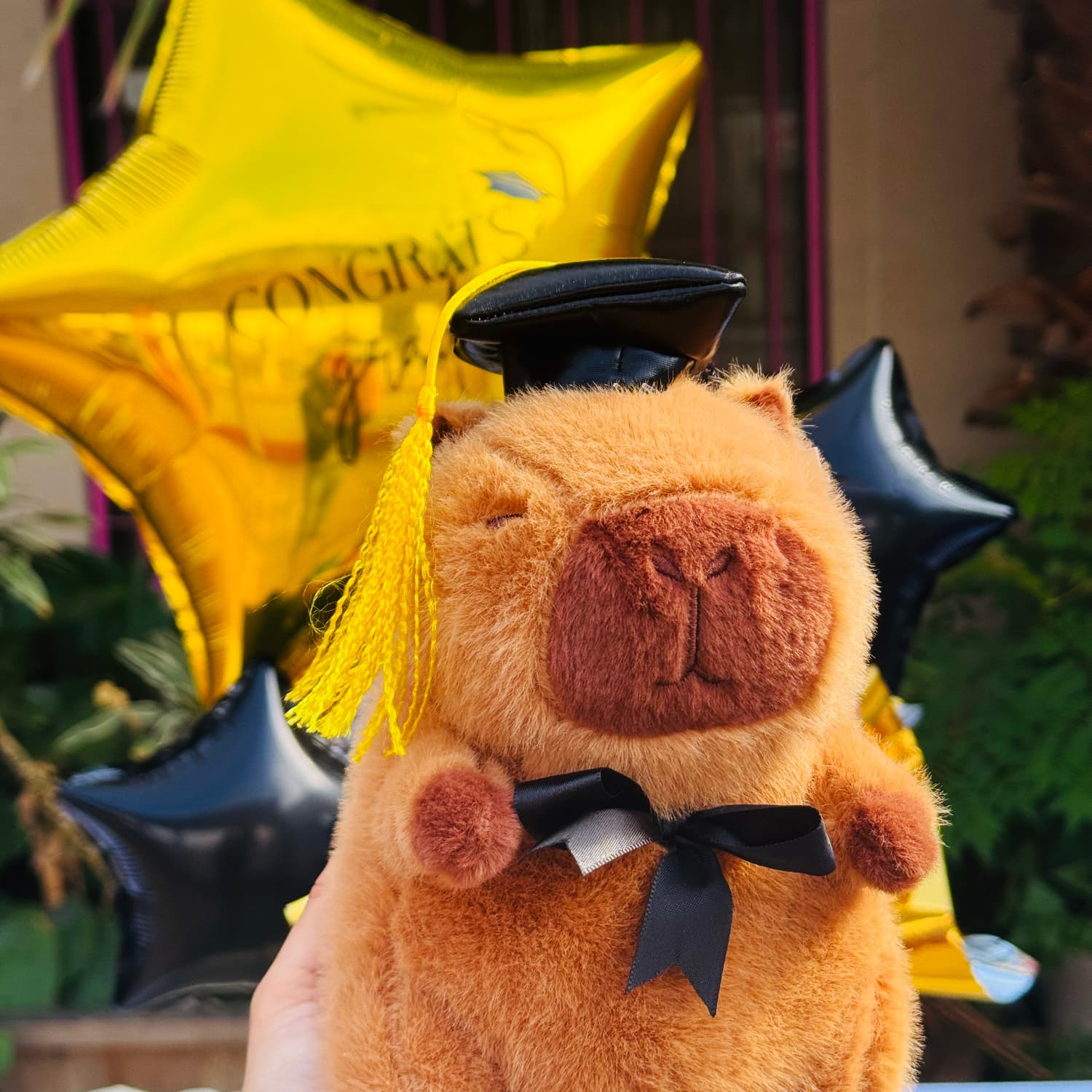 CAPIBARA GRAD