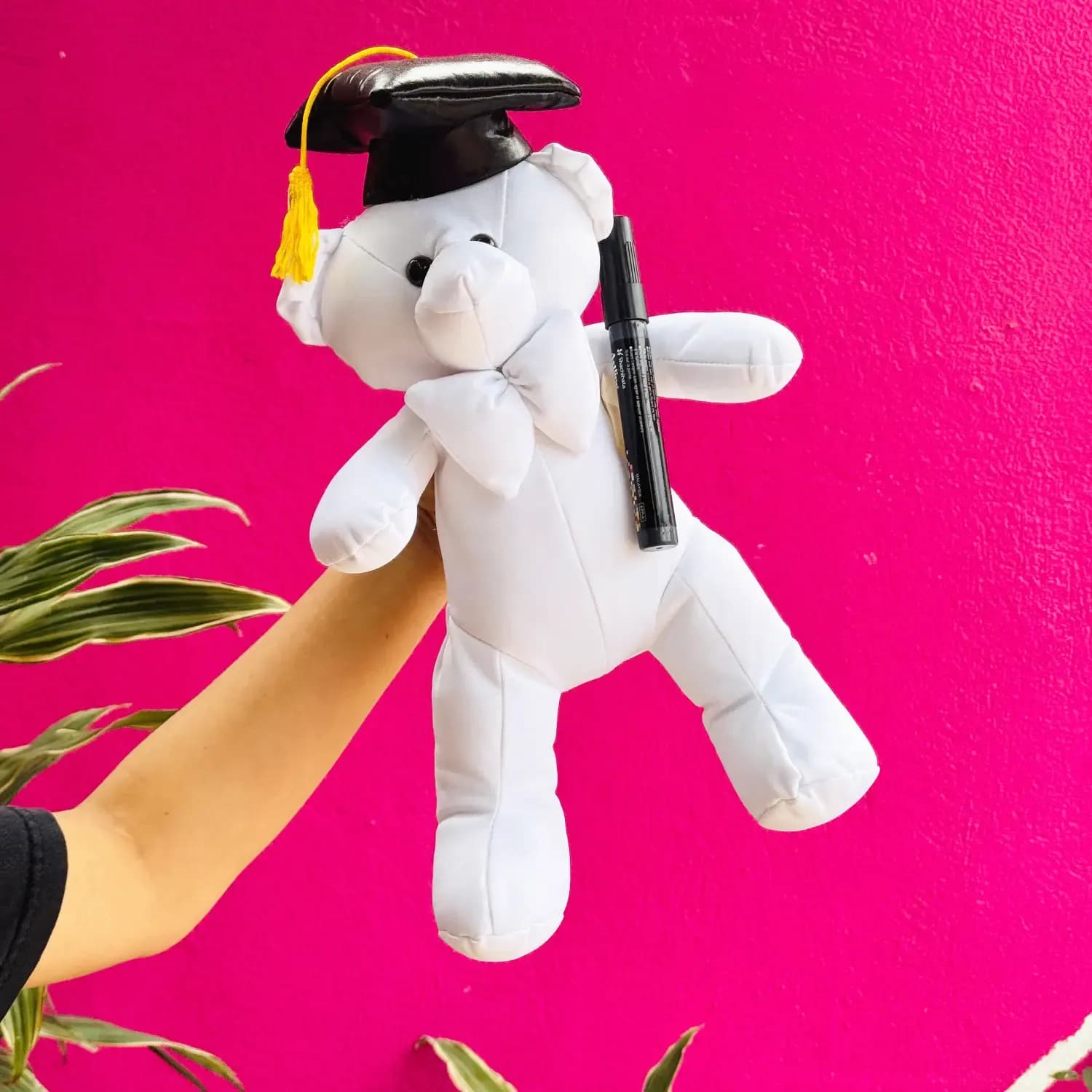 GLOBO, PELUCHE Y CAJA DE DULCES