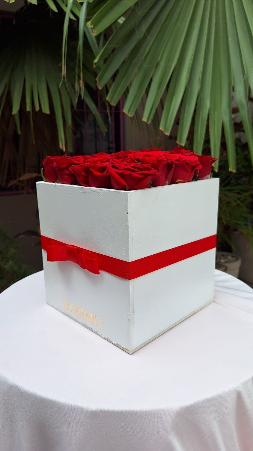 Caja Plana