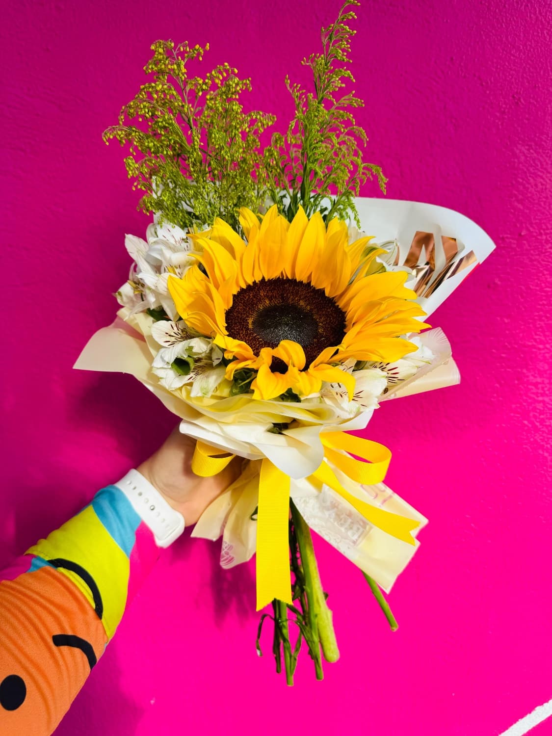 GIRASOL INDIVIDUAL