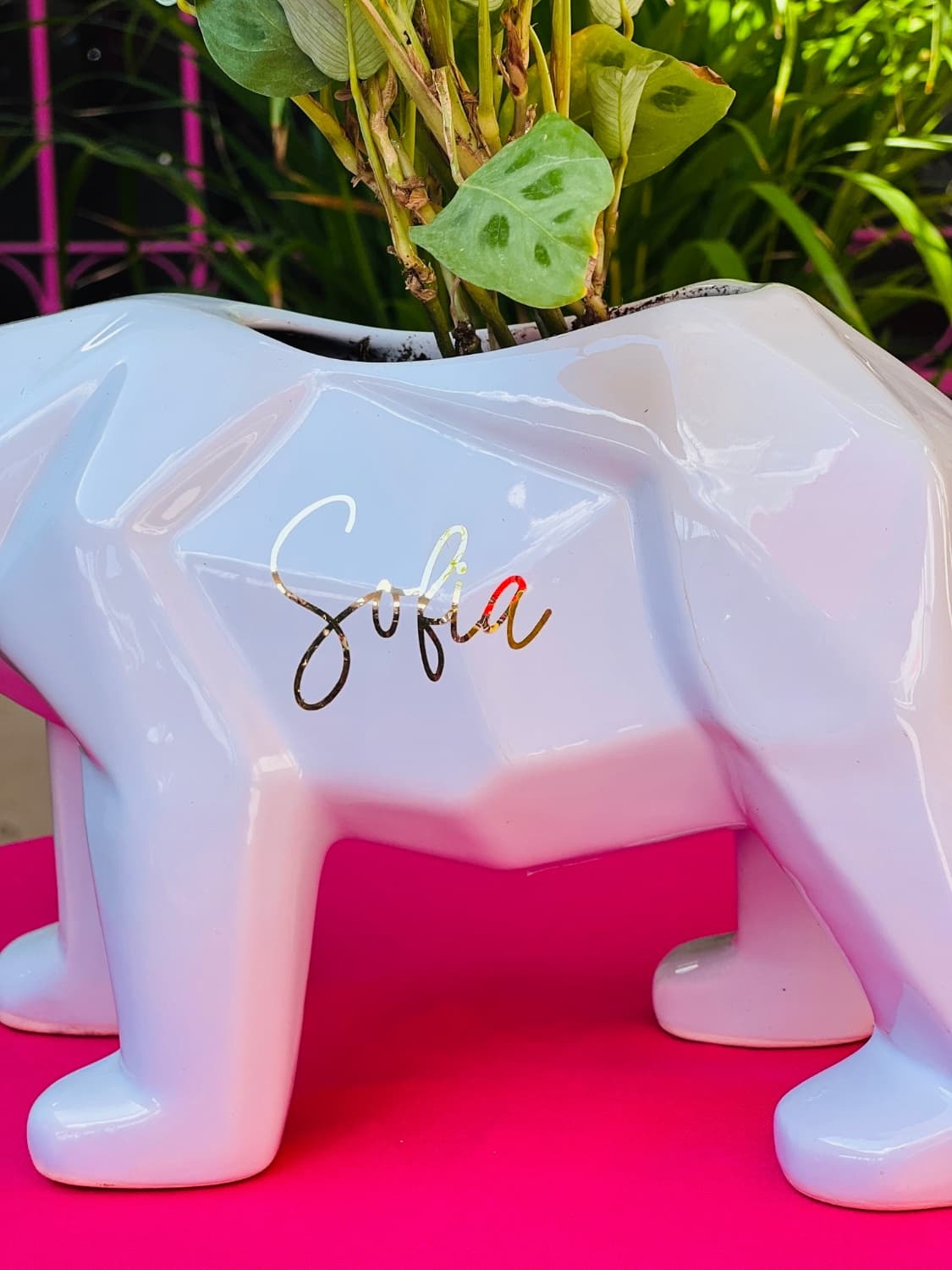 OSO POLAR