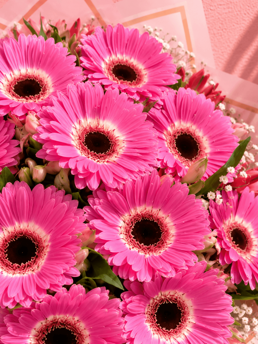 Ramo de Gerberas