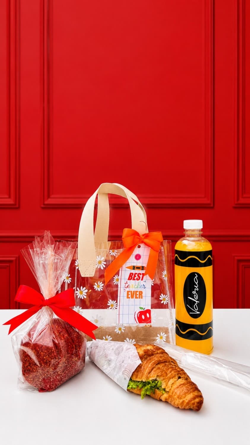 Teacher Bag